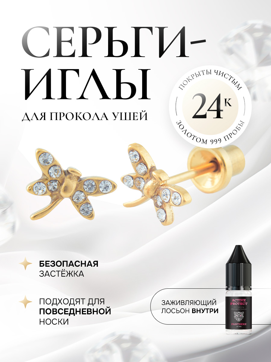 Элегантная и милая стрекозка с чистыми камнями