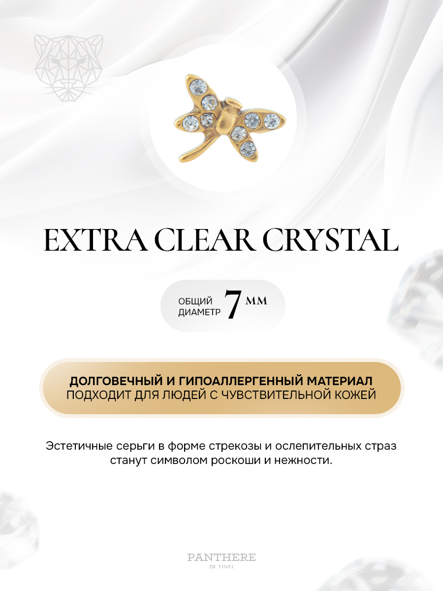 Элегантная и милая стрекозка с чистыми камнями